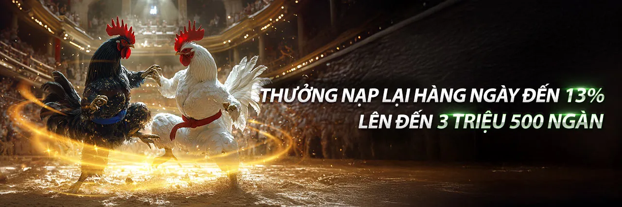 Bí quyết cá cược đá gà hiệu quả